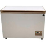 Congelador Horizontal 1 Puerta Abatible 400 Litros 1200X710X900h mm BD-480-91 HS