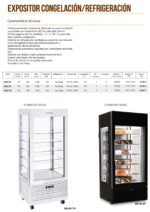Vitrina Expositora de Refrigeración para Helados y Postres 1 Puerta de Cristal 317 Litros 5 Estantes 750x780x2100h mm DG80 TN INFRIMA - Imagen 2