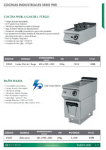 Cocina Wok Gas 1 Fuego Sobremesa Gama 900 - 400x900x300h mm 9320E EUTRON - Imagen 2